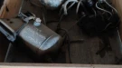 22022_1 Magnum cummins