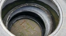 1029_2 Mi 54065R28 17mm