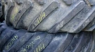 1114_1 Axiobib 65065R34 20