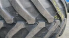 2096_4 Trelleborg 65065R38 23mm