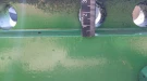 3694_2 Rail ladderhitch width