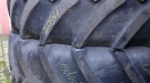 2094_1 Conti AC65 65065R38 23