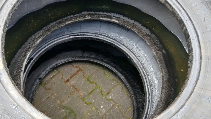 1029_2 Mi 54065R28 17mm