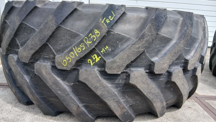 2096_5 Trelleborg 65065R38 23mm